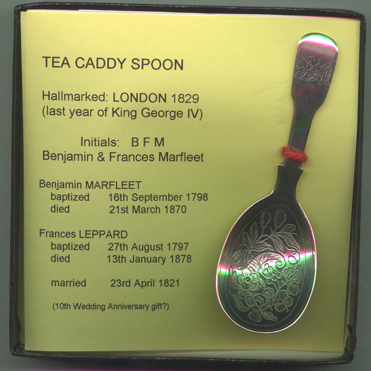 Tea Caddy Spoon