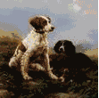 Please support our affiliate. Thank you.
