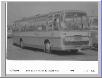 CLICK for enlargement 133KB