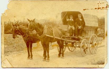 Carrier's Cart